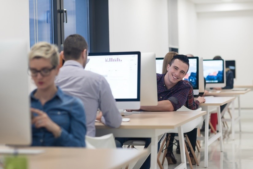 Employees working online at workstations