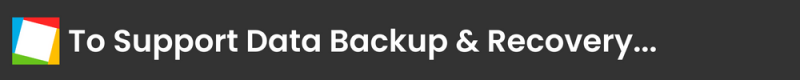 Strategies to support data backup and recovery 