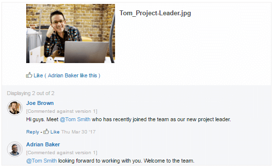 Introducing team members remotely - Glasscubes team collaboration software
